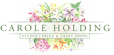 Carole Holding